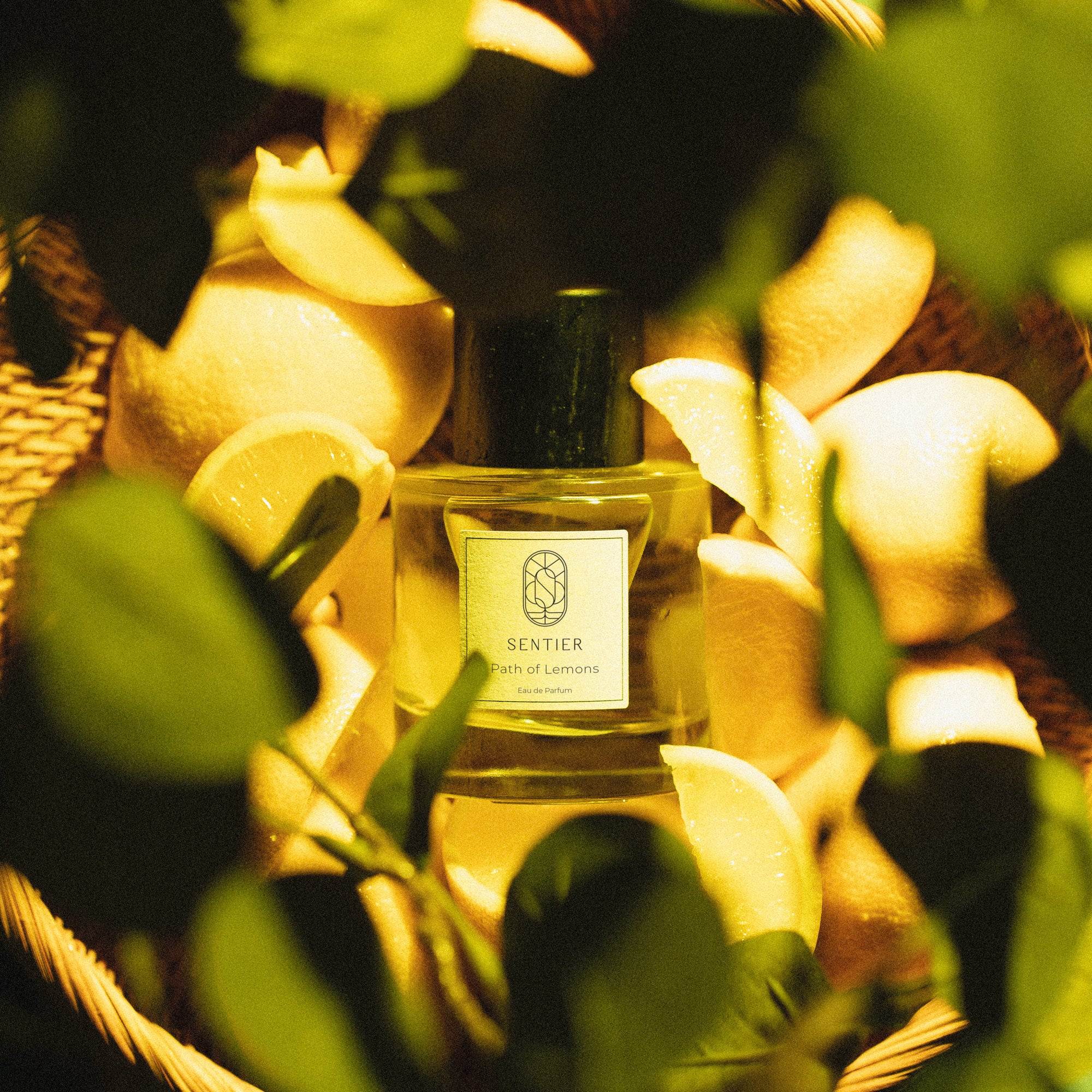 Path of Lemons - Image 3